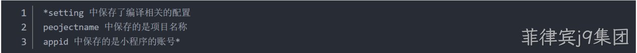  JSON 配置文件