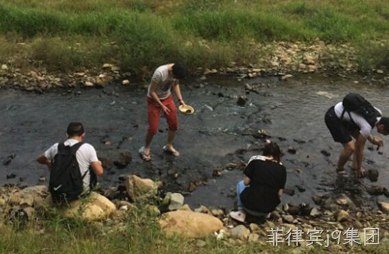 团体游